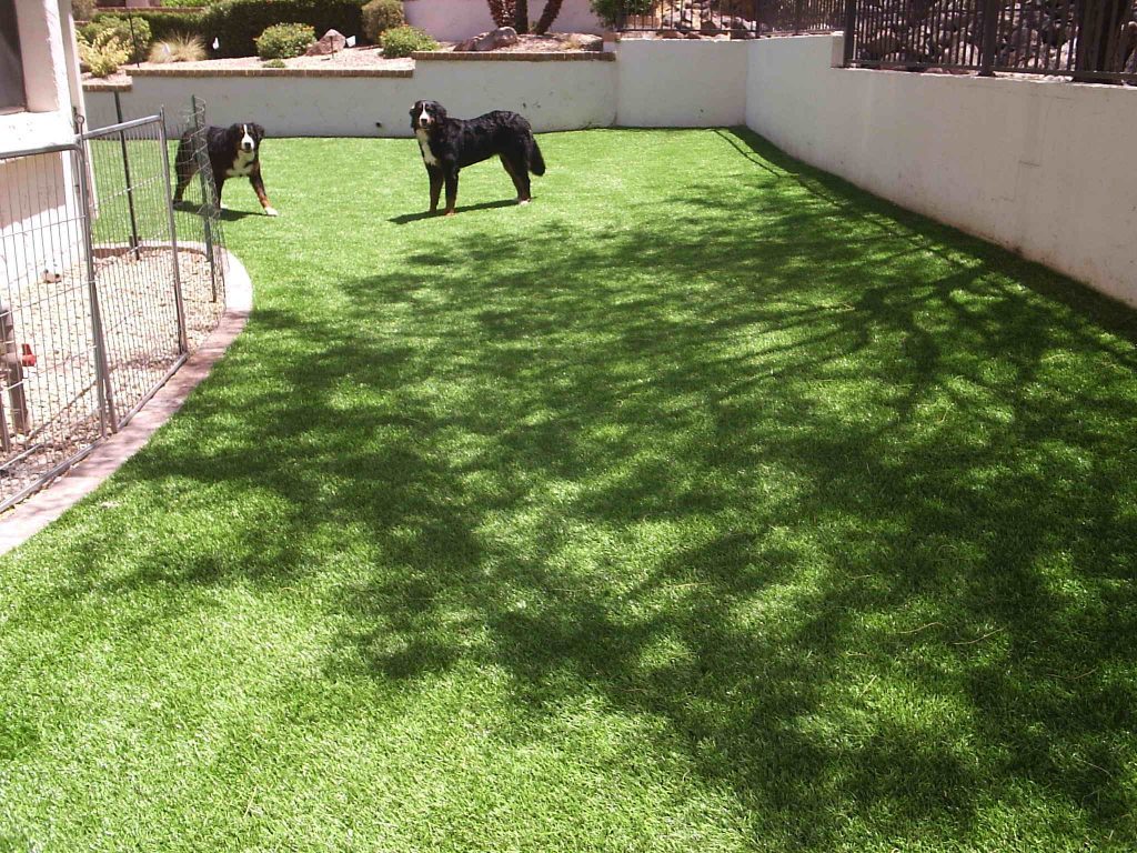 Synthetic Lawn Pet Turf Company Coronado, Best Artificial Pet Turf Pricing