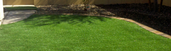 ▷Reasons Artificial Grass Is Best For Domestic Use In Coronado