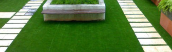 ▷5 Tips To Choose Best Artificial Grass For Your Lawn In Coronado