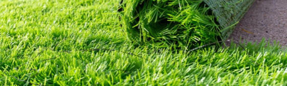 ▷7 Tips To Lay Artificial Grass Next To Real Turf Coronado