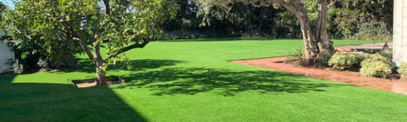▷5 Misconceptions About Artificial Grass Coronado