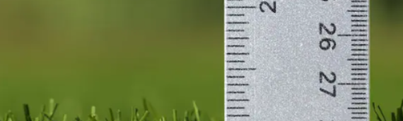 ▷5 Considerations Before Purchasing Artificial Grass In Coronado