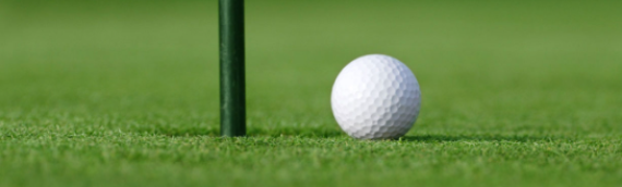 ▷7 Tips To Make Mini Garden Golf Course With Artificial Grass In Coronado