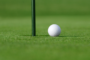 7 Tips To Make Mini Garden Golf Course With Artificial Grass In Coronado