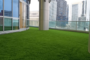 How Artificial Grass Can Boost Your Property Value In Coronado?
