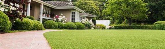 ▷5 Reasons To Choose Artificial Grass For Your Home In Coronado
