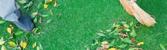 ▷5 Tips To Turn Your Front Yard Into Beautiful Lawn With Artificial Grass In Coronado